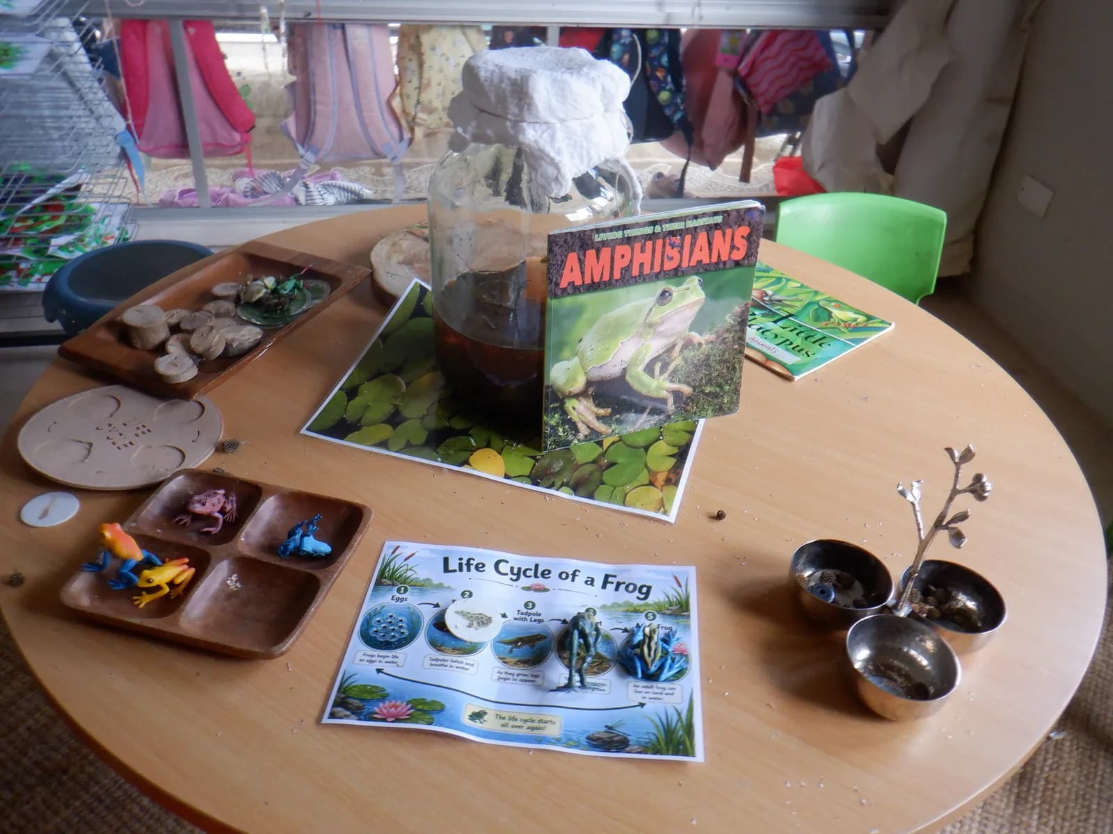 Frog lifecycle learning materials arranged on a table at the centre